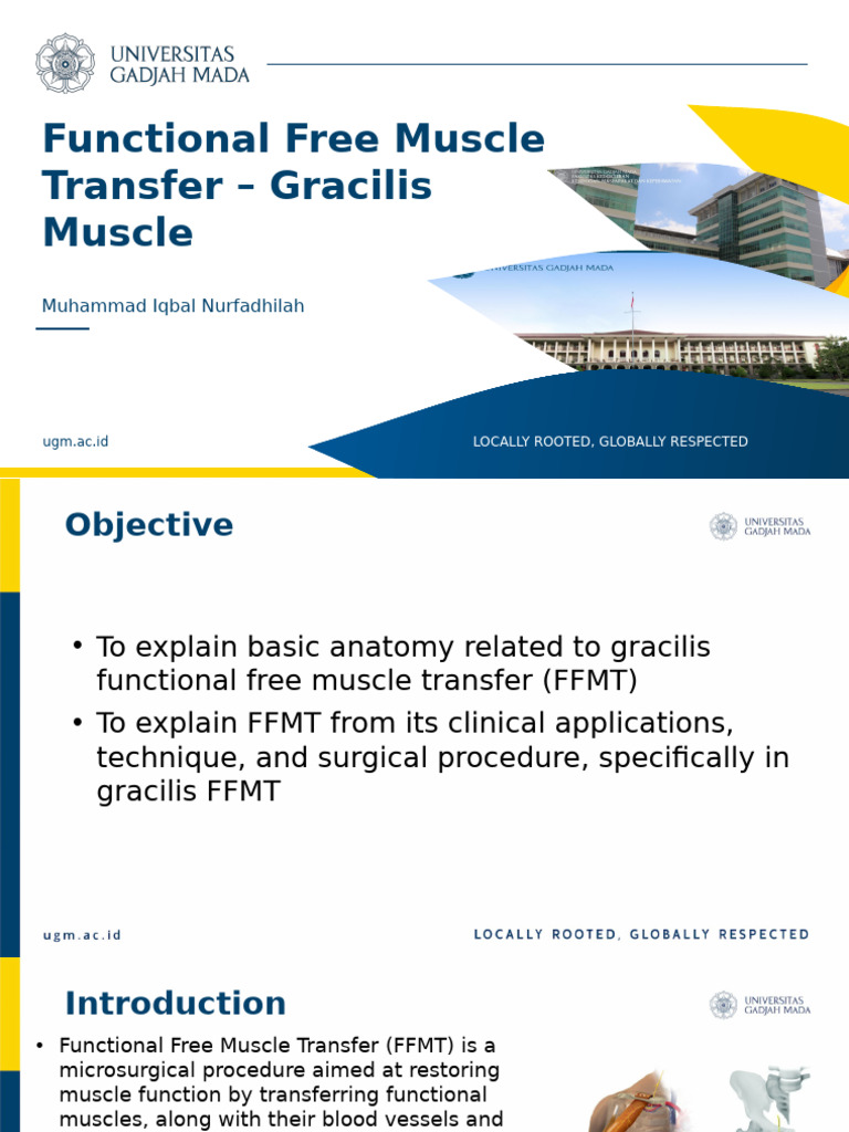 Gracilis Muscle Transfer in Reconstruction | PDF | Human Leg ...