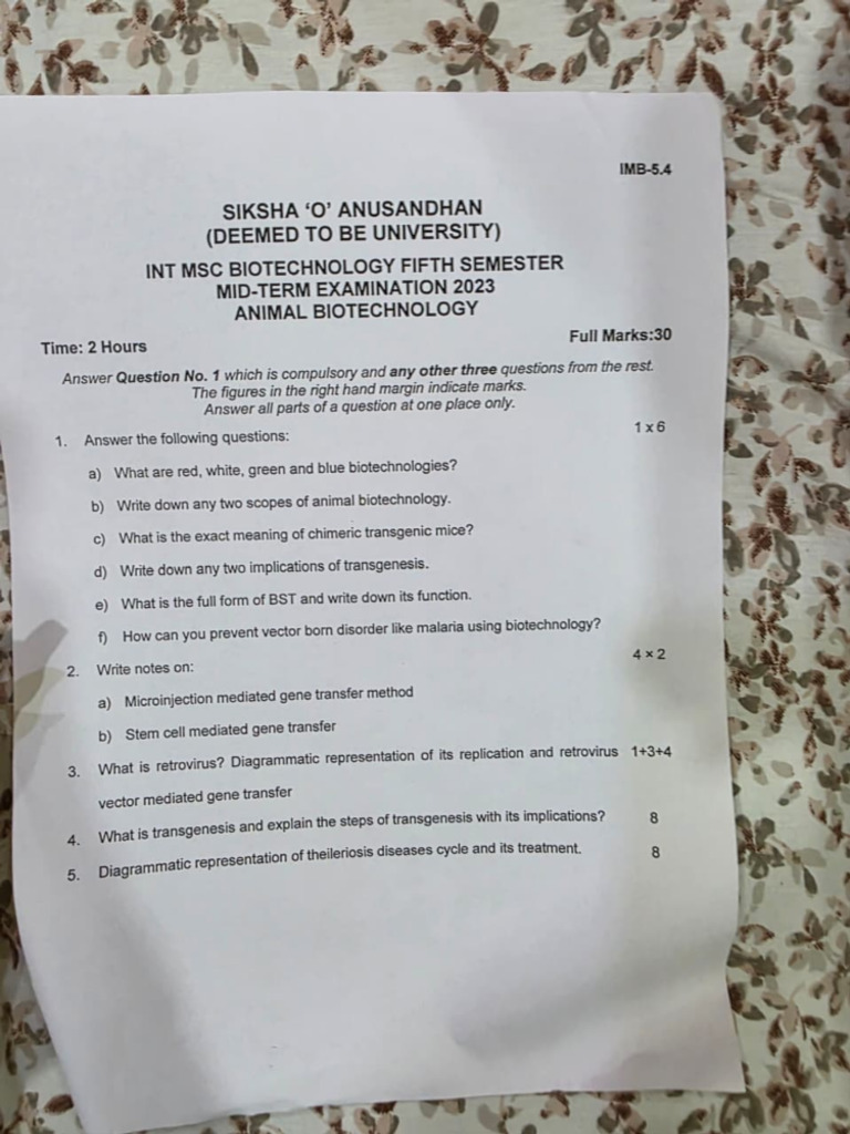 2023 Pyq 5th Sem | PDF