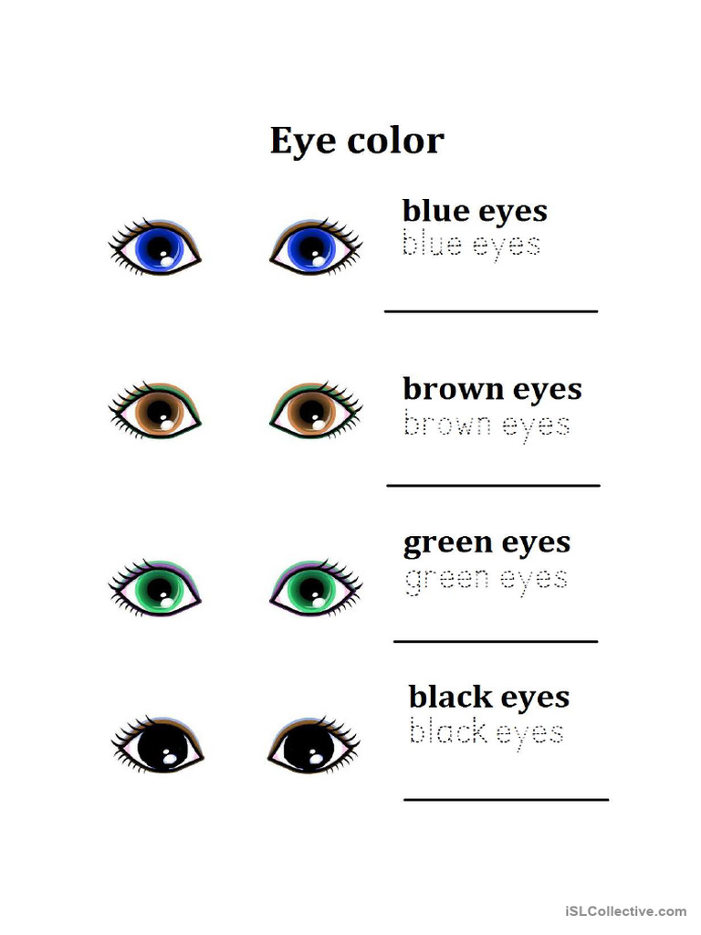 Eye Color - 241028 - 150706 | PDF