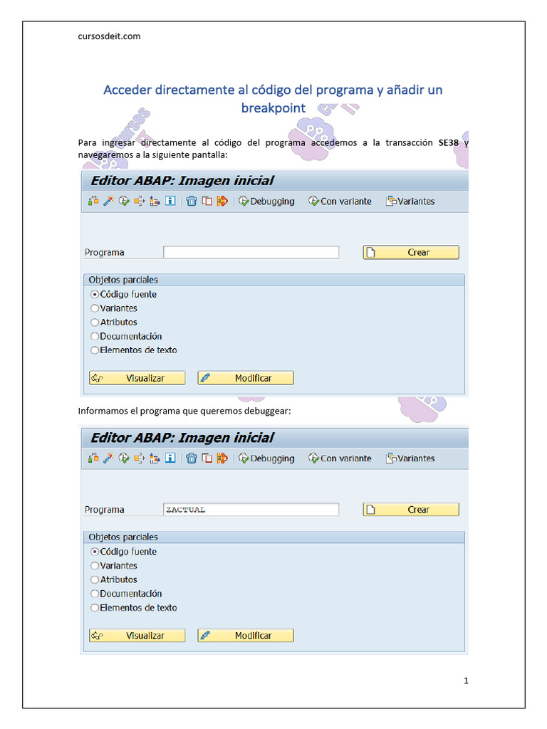 Cómo añadir breakpoints en SAP SE38 | PDF | Programa de computadora ...