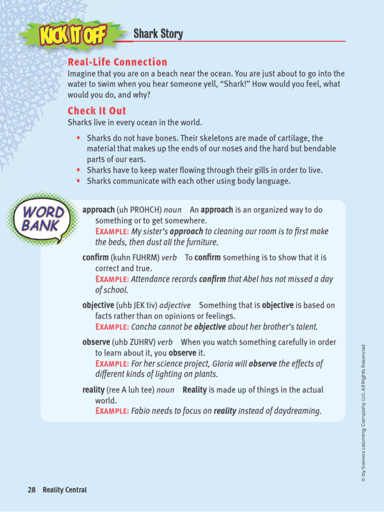 Understanding Shark Safety and Myths | PDF | Sharks