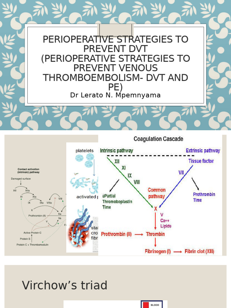 Perioperative DVT Prevention Strategies | PDF | Thrombosis | Medical ...