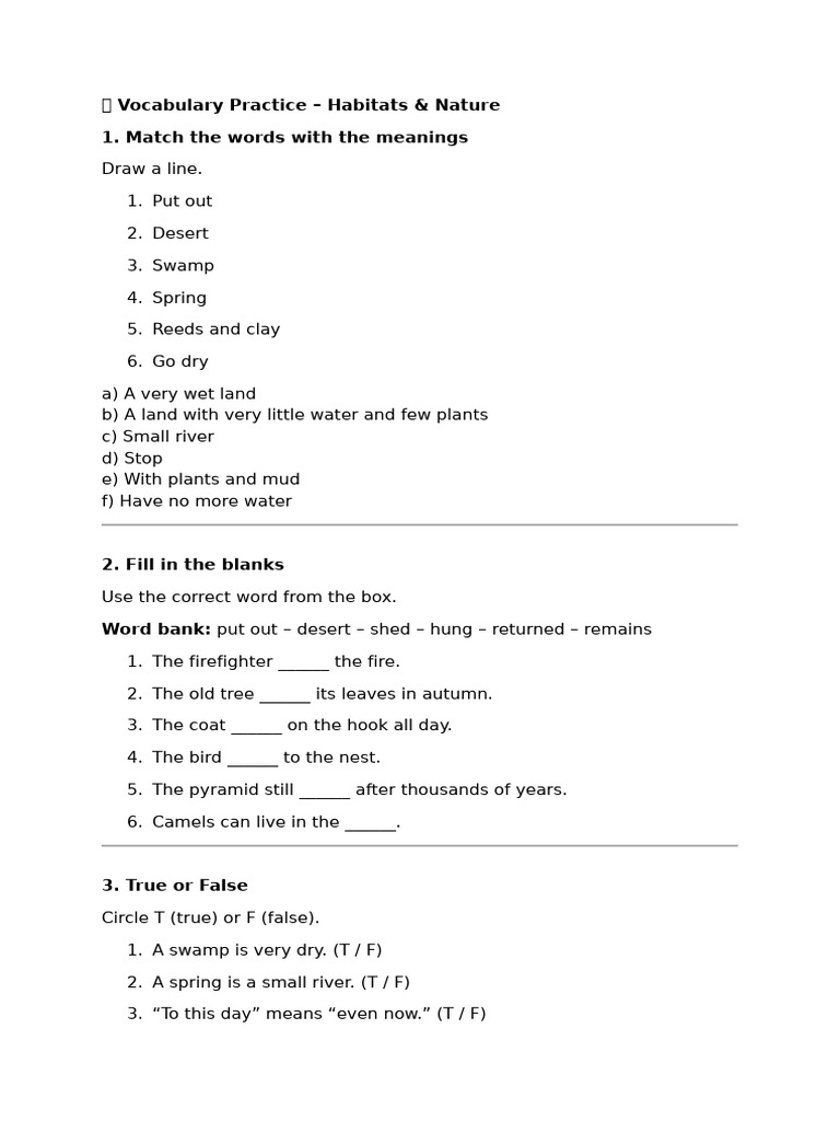 ? Vocabulary Practice | PDF | Adjective | Linguistic Morphology