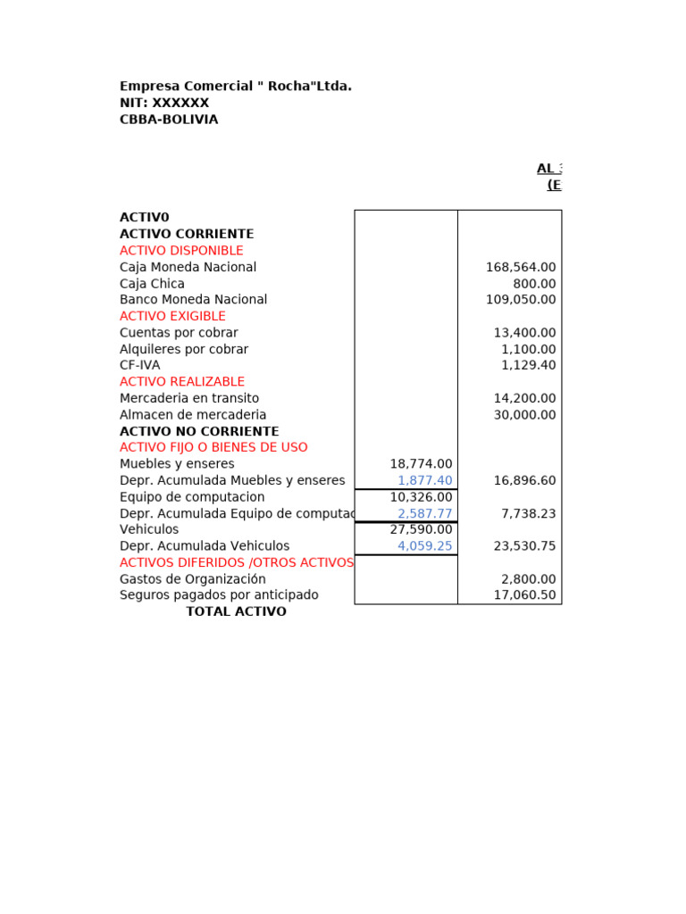 Balance General de Rocha Ltda. 2024 | PDF | Hoja de balance | Economía ...