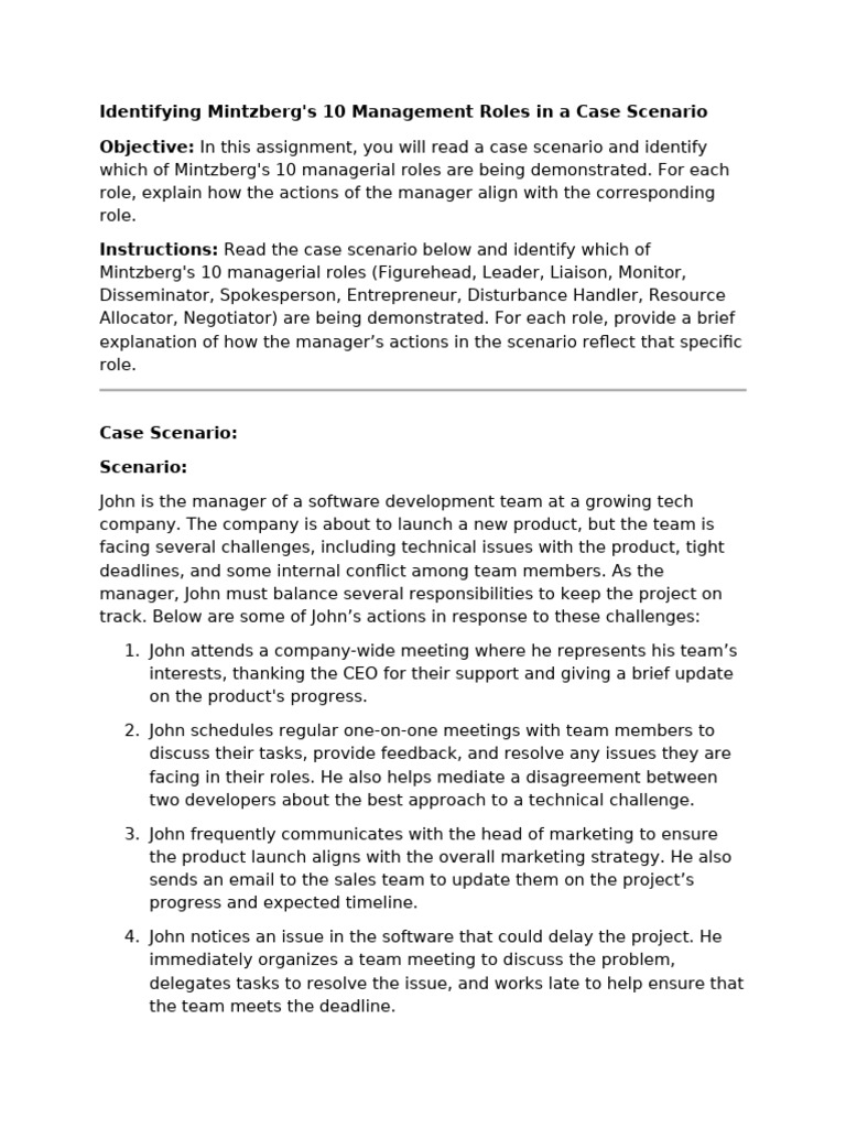 Mintzberg's Management Roles Explained | PDF | Business