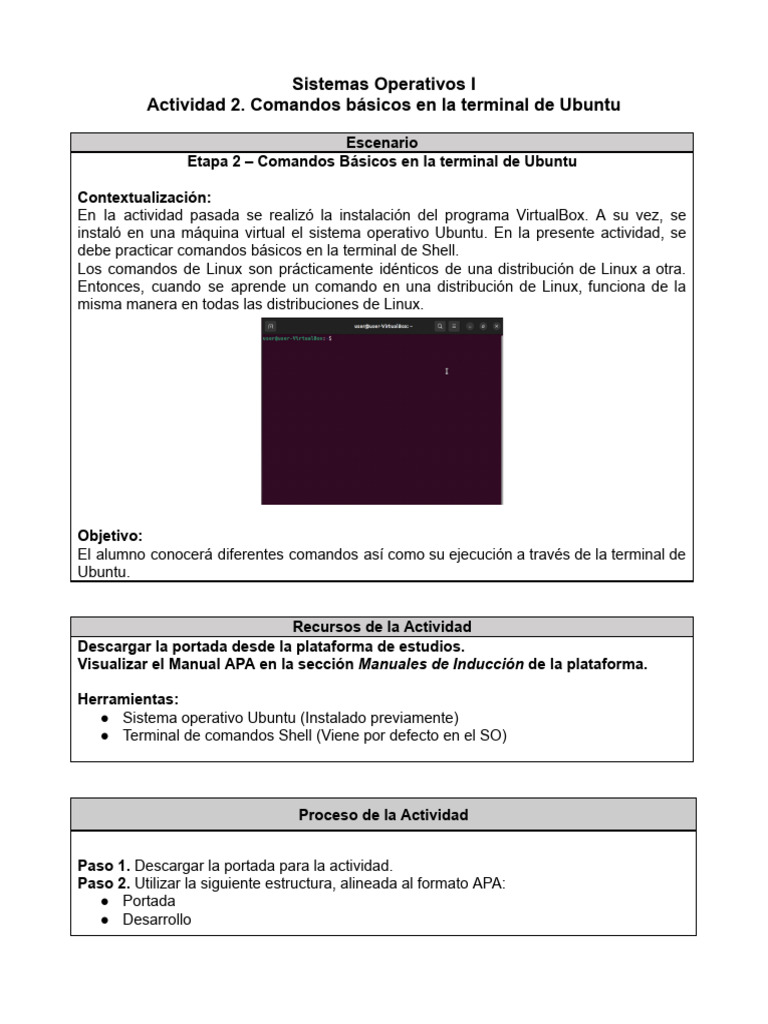 Comandos Básicos en Ubuntu Shell | PDF | Archivo de computadora | Software
