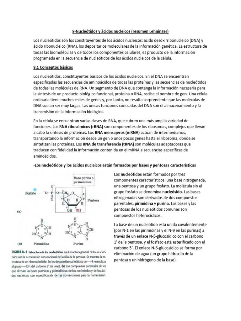 Estructura y función de nucleótidos y ácidos nucleicos | PDF | Rna | Adn