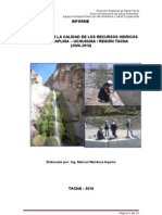 Informe 2006-2010 Cuenca Caplina - Uchusuma