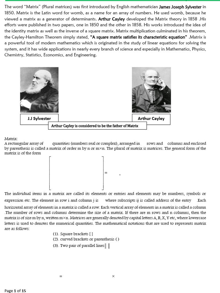 Arthur Cayley: Father of Matrices | PDF | Matrix (Mathematics ...