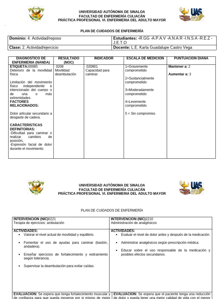 Plan de Cuidados para Movilidad en Adultos Mayores | PDF | Enfermería ...