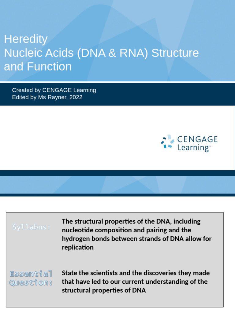 DNA and RNA Structure & Function Guide | PDF | Rna | Dna