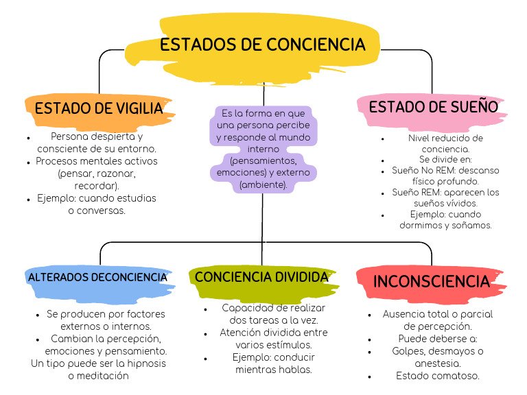 Mapa Conceptual Estados de Conciencia | PDF