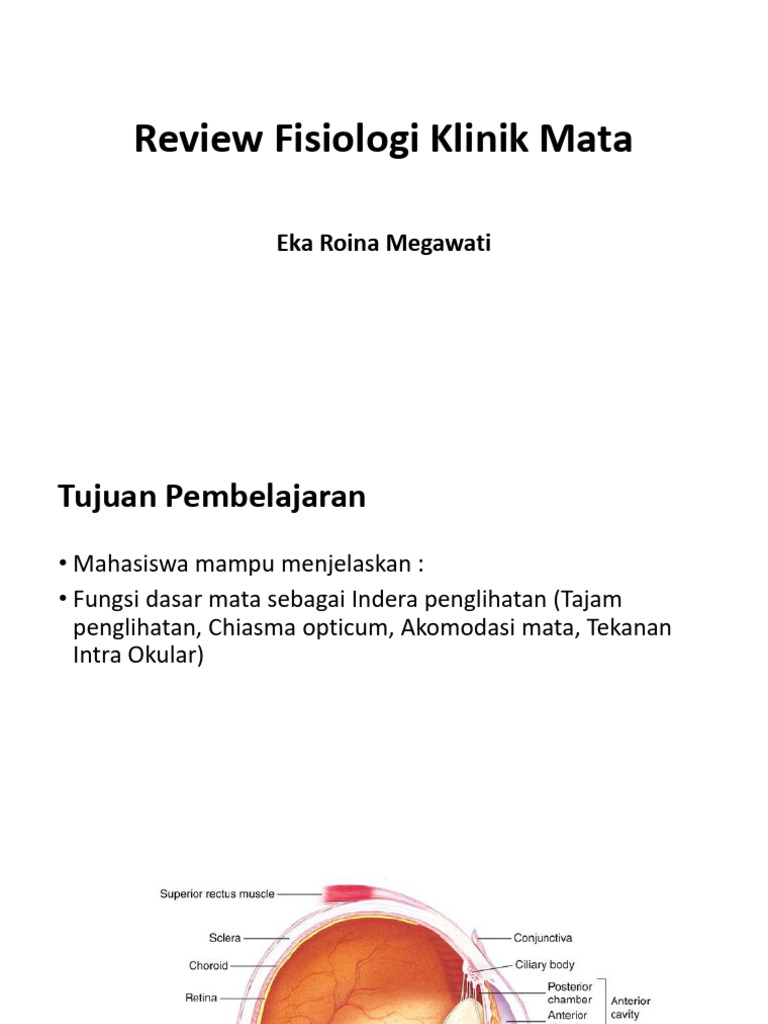 Fisiologi Klinik Mata: Visual Acuity Insights | PDF | Glaucoma | Visual ...