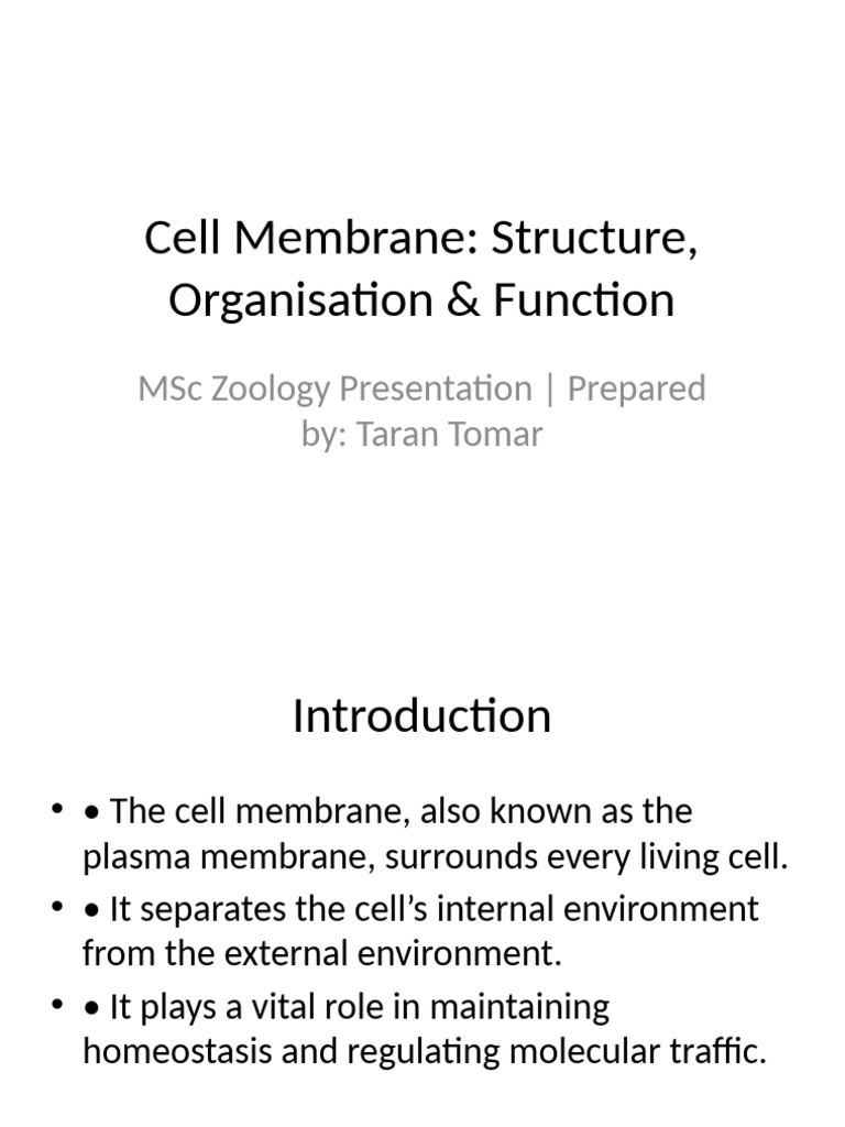 Cell Membrane Structure and Function | PDF | Cell Membrane | Lipid Bilayer