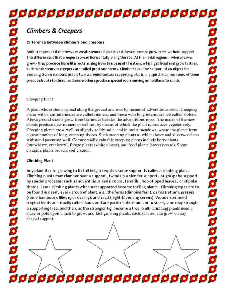 Difference Between Climbers and Creepers Plant Stem Branches Of Botany