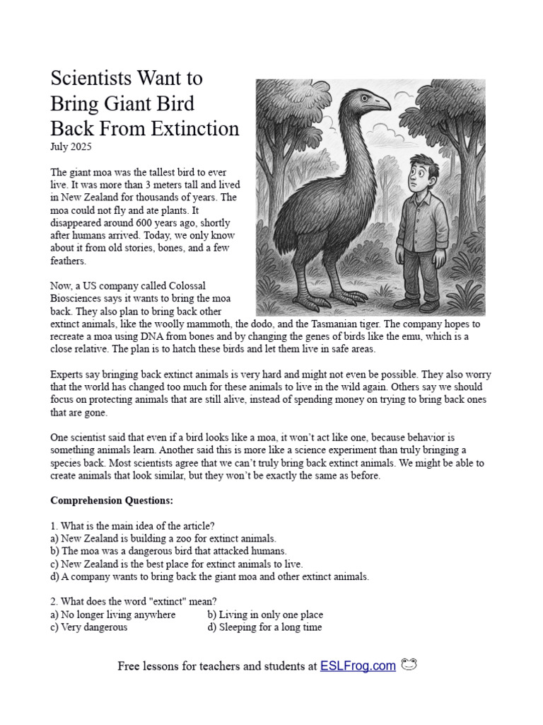 Moa Extinct Bird Lesson | PDF | Extinction | Birds
