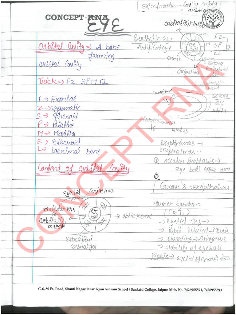 077) Hand Written Notes - 12 Eye & Ent (©stoner - Opps) | PDF
