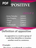 Appositive