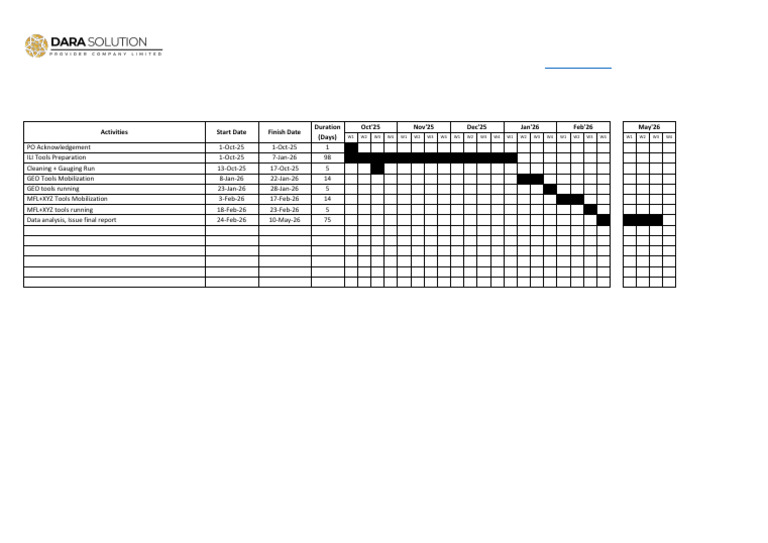 Preliminary Execution Plan Overview | PDF