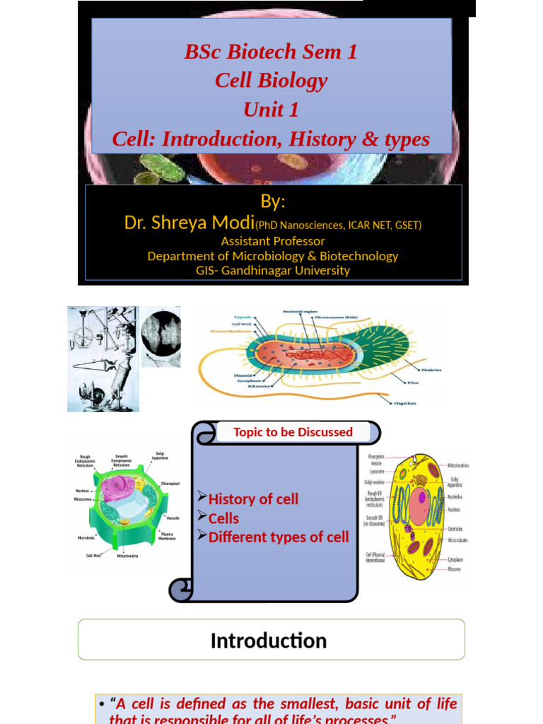 Introduction to Cell Biology Basics | PDF | Cell (Biology) | Biology