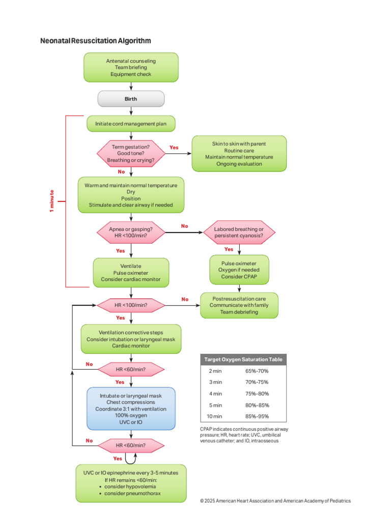 Algoritmos Guias AHA 2025 | PDF | Cardiopulmonary Resuscitation ...