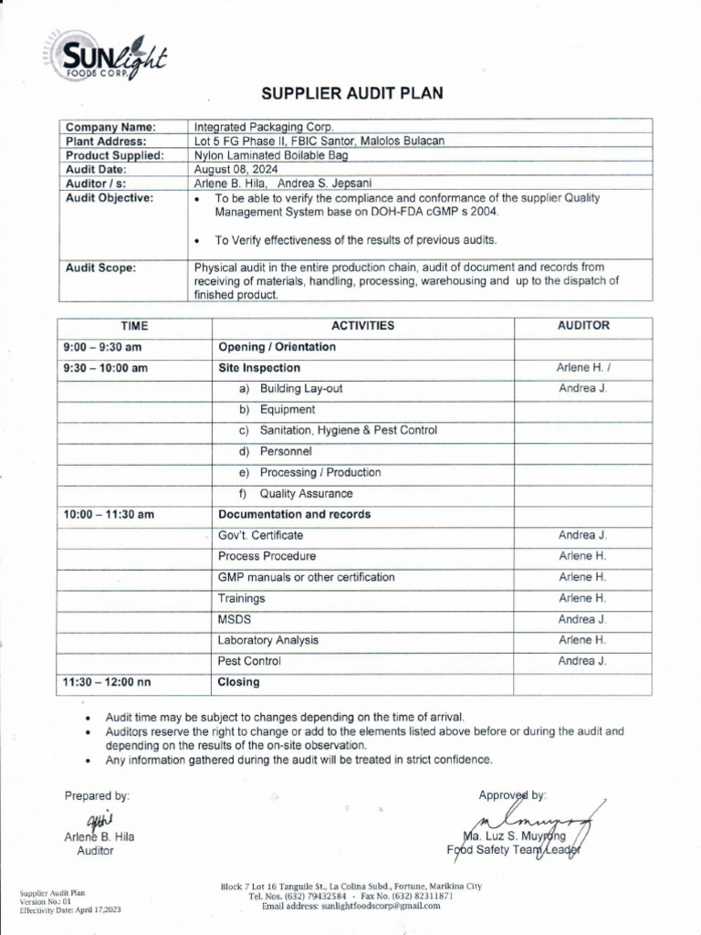 IPC - Audit Plan 2024 | PDF