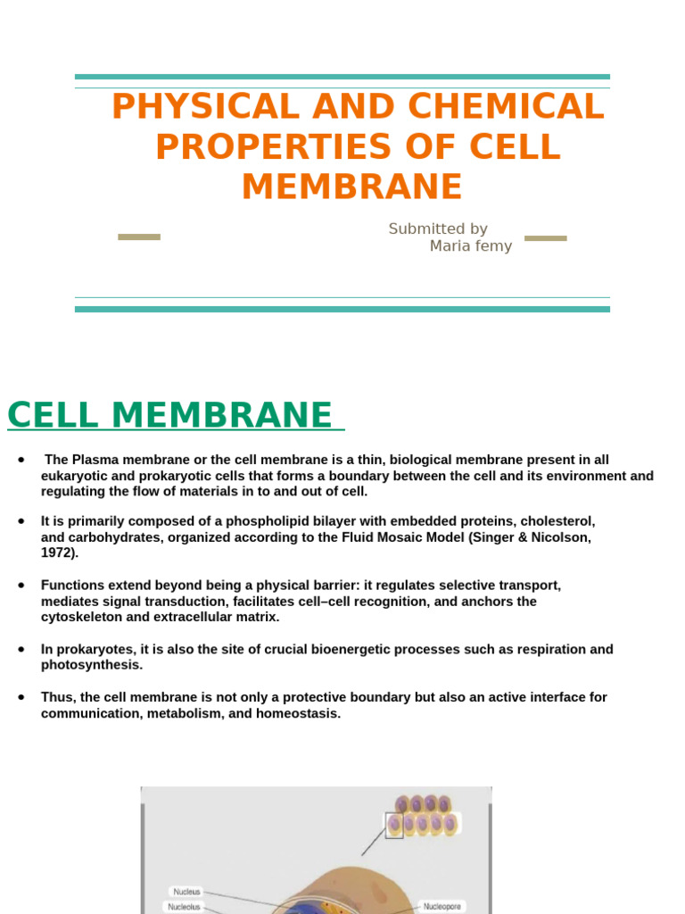 Cell Membrane: Structure & Properties | PDF | Cell Membrane | Lipid Bilayer