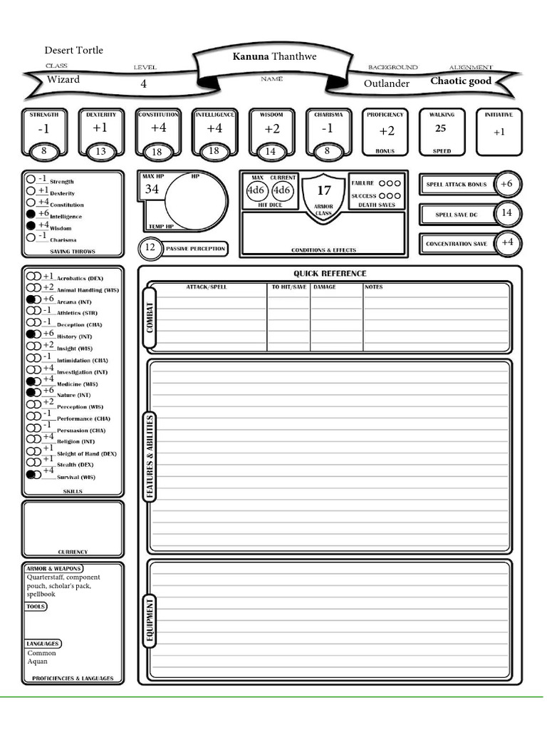 Tortle Wizard | PDF