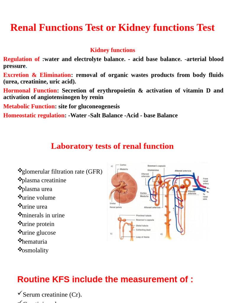 Comprehensive Kidney Function Tests Guide | PDF | Creatinine | Kidney