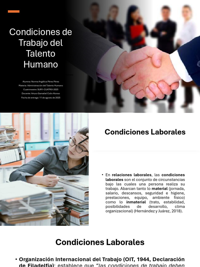 Condiciones de Trabajo RL | PDF | Derecho laboral | Salario