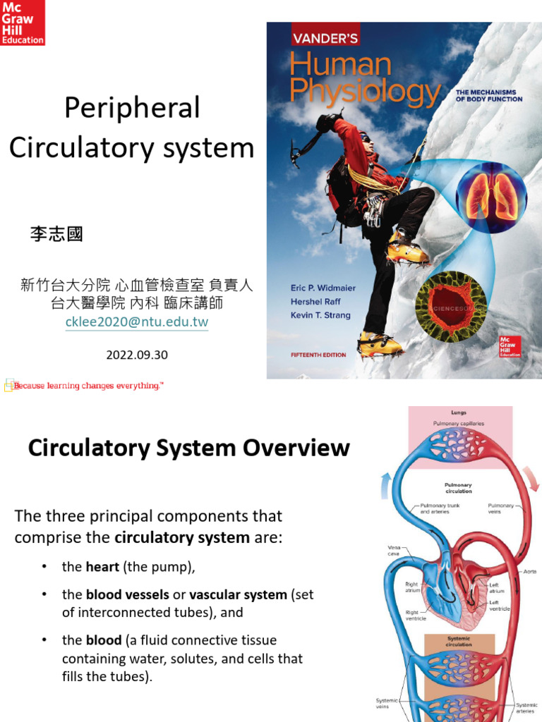 Overview of the Circulatory System | PDF | Artery | Blood Vessel