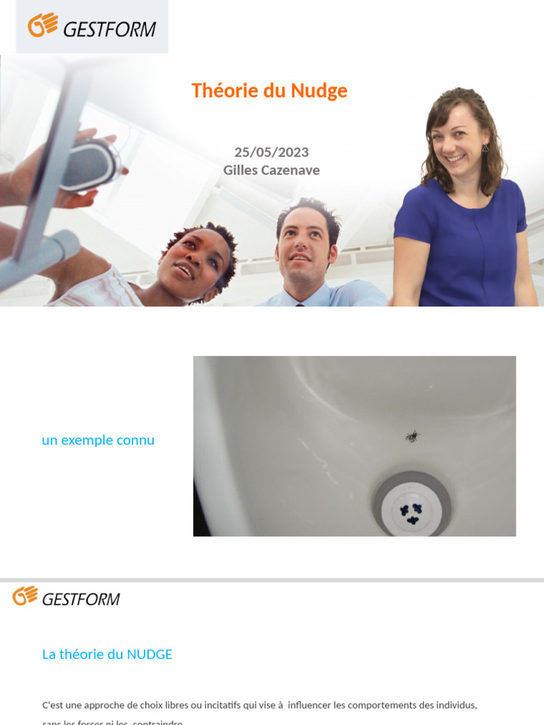 Comprendre la théorie du Nudge | PDF