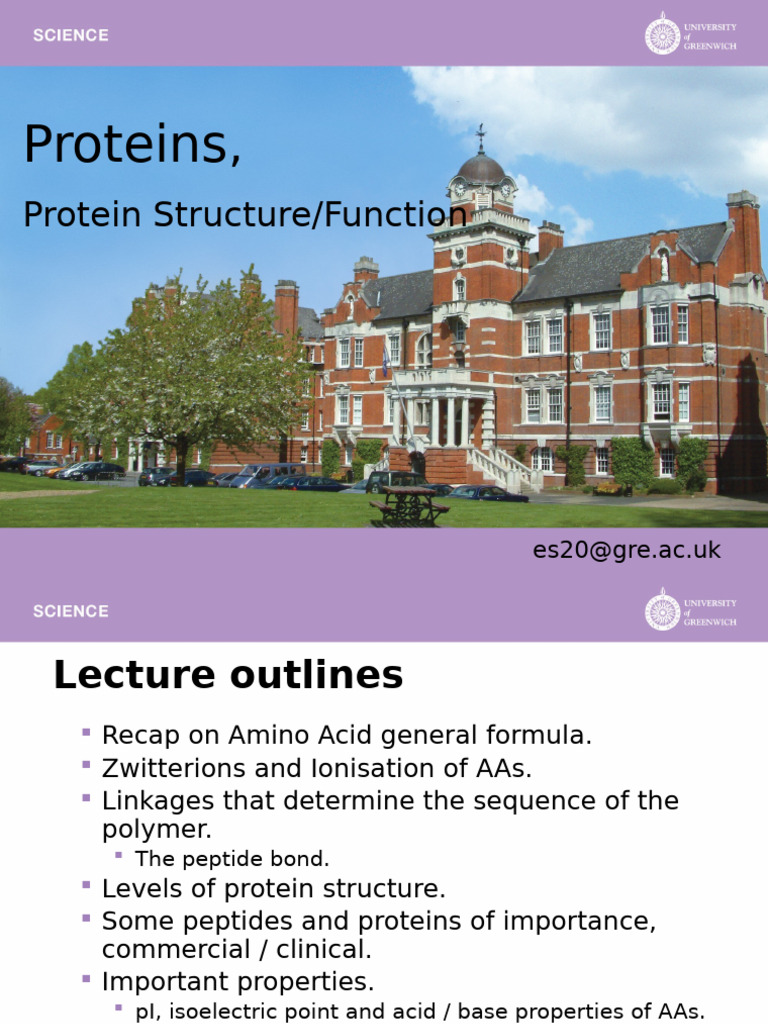 BIOC1033 Protein Structure Fuction | PDF | Beta Sheet | Alpha Helix