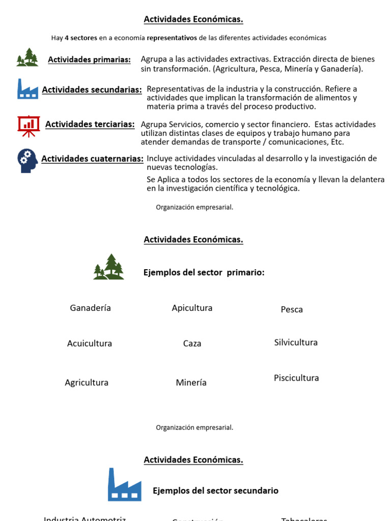 Sectores de Actividades Económicas | PDF | Economias | Agricultura