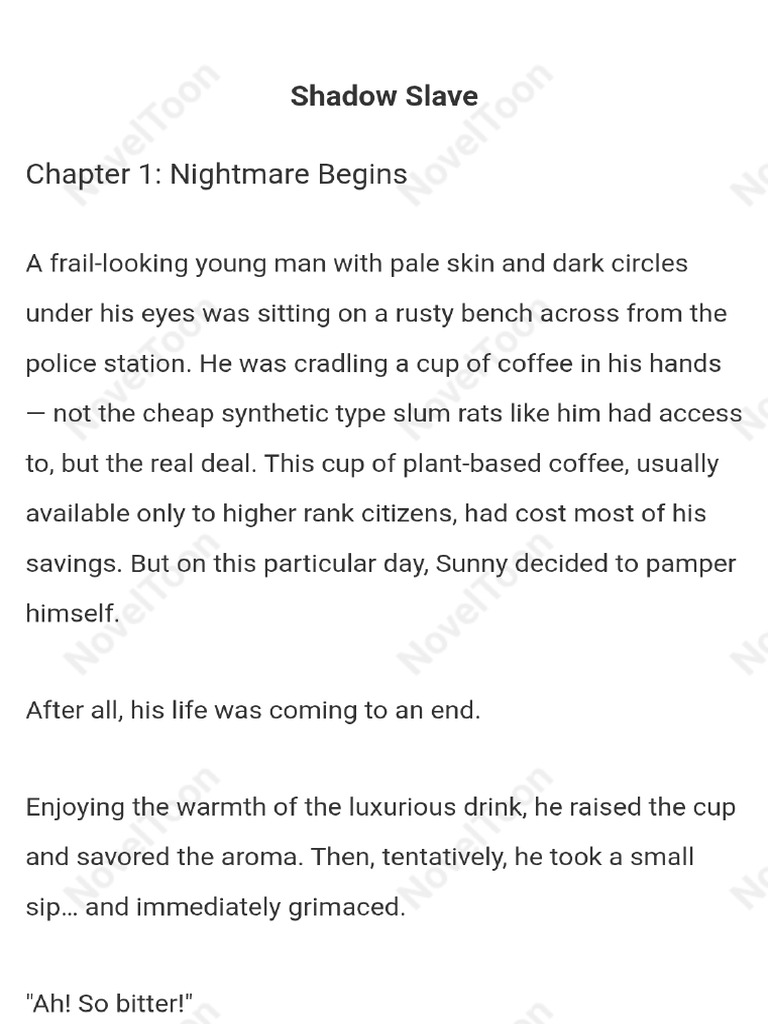Shadow Slave | PDF