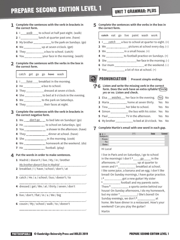 Level 1 Grammar Practice Exercises | PDF | Grammar | Linguistic Morphology