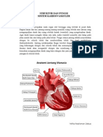Struktur Dan Fungsi Sistem Kardiovaskuler