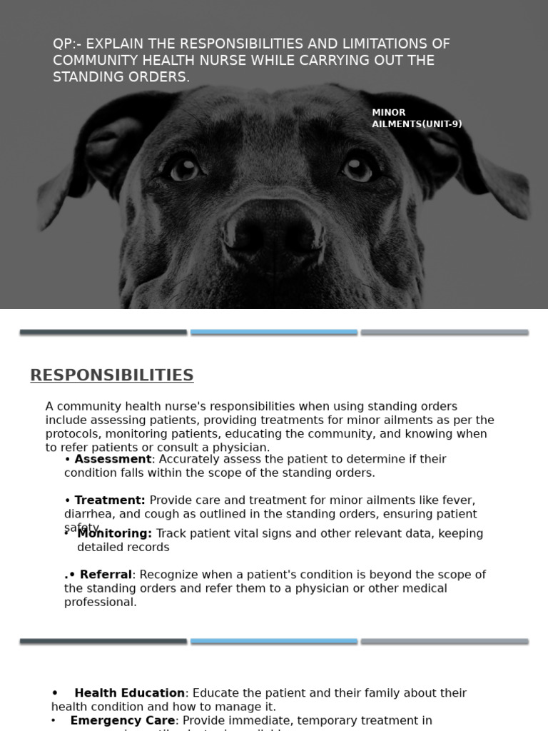 Community Health Nurse Roles & Limits | PDF