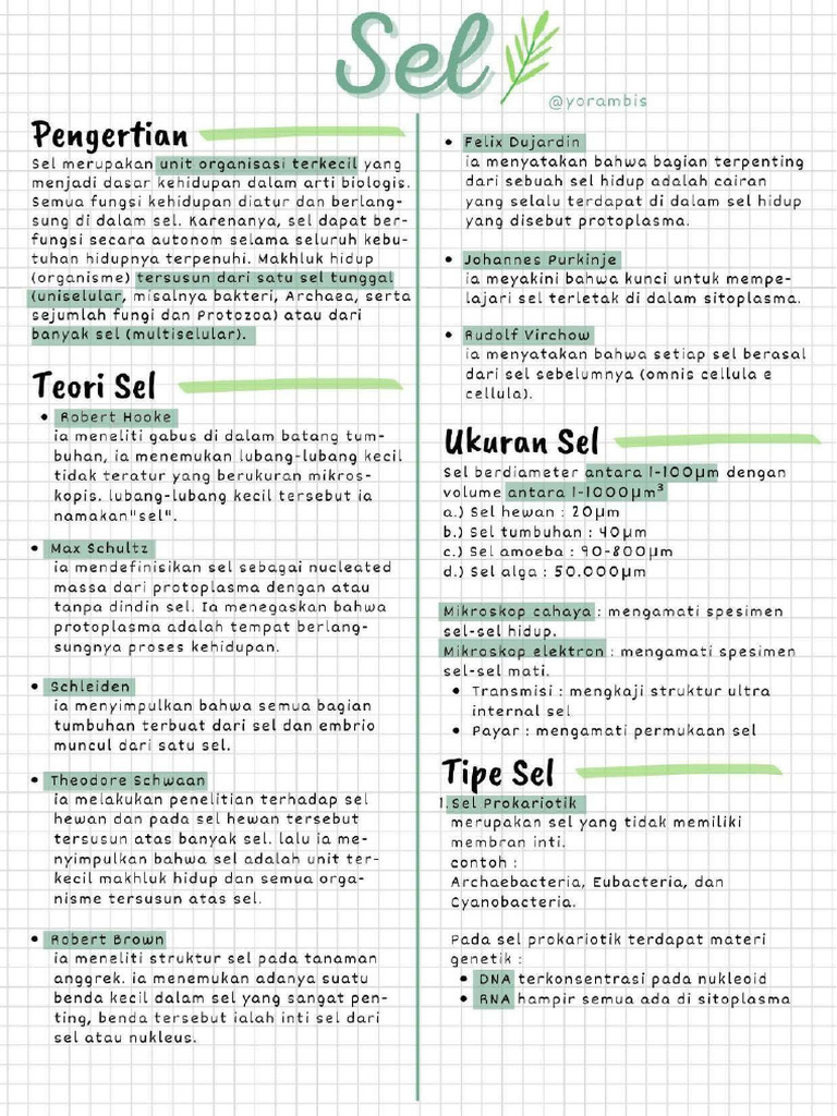 Sel | PDF