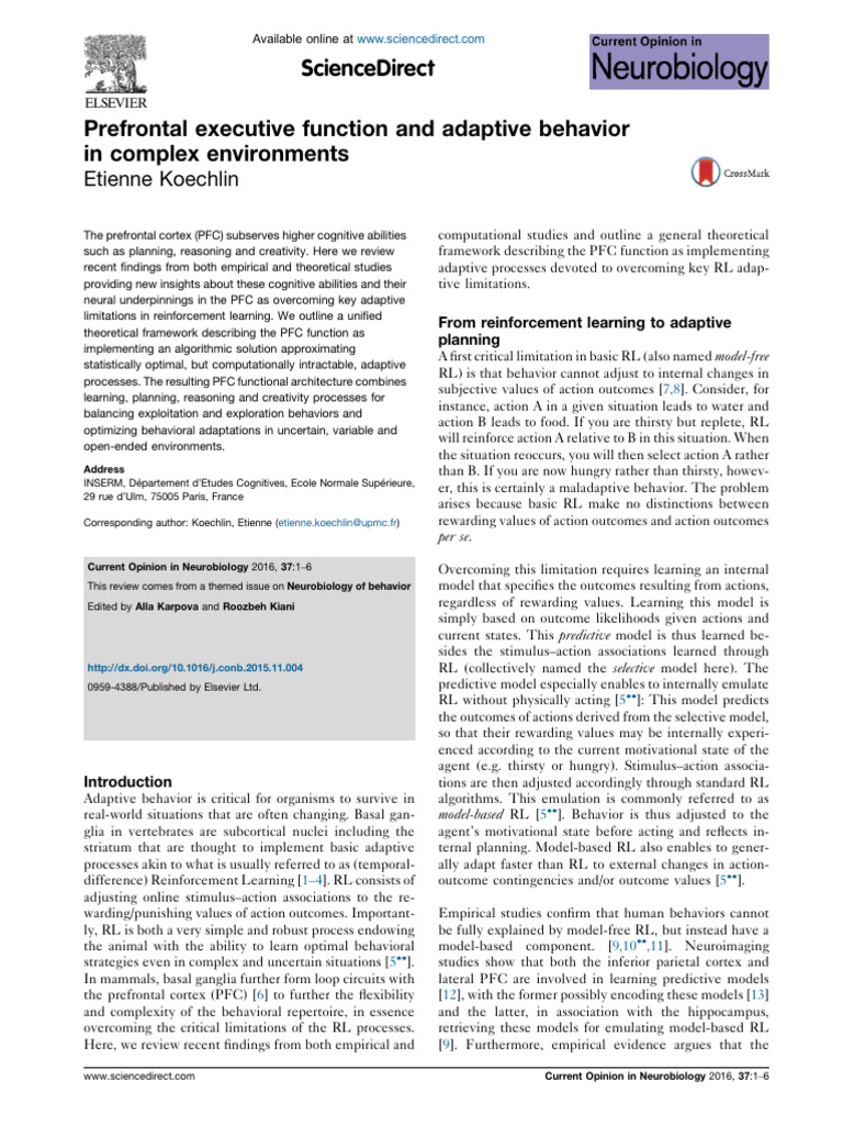 Prefrontal Cortex and Adaptive Behavior | PDF | Prefrontal Cortex ...