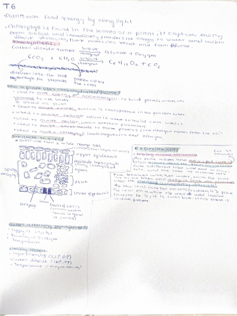 Bio Notes | PDF