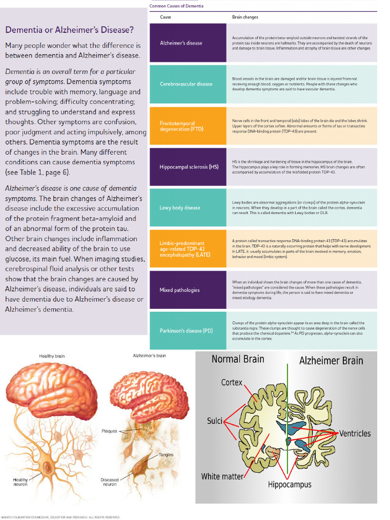 Body 2nd Page | PDF