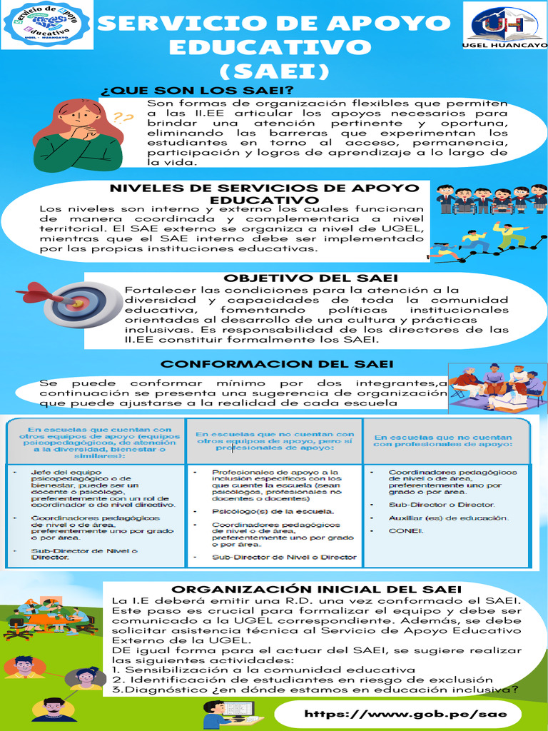 Organización y Funciones del SAEI | PDF