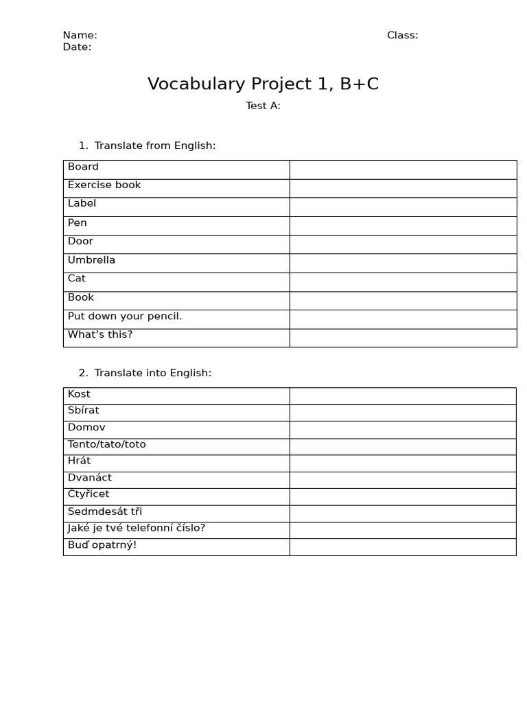 Vocabulary Project 1 B and C | PDF