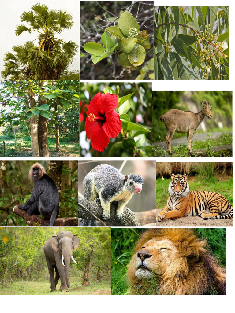 Science Project | PDF