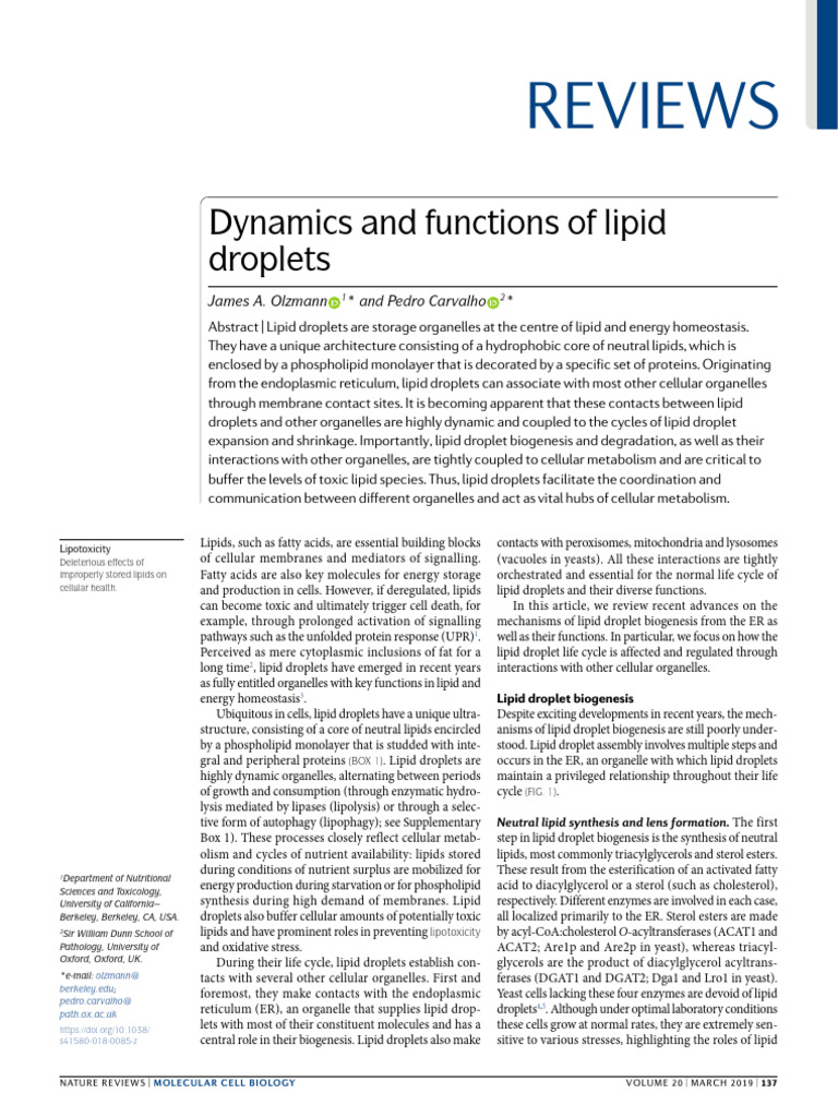 Reviews: Lipid Droplet Biogenesis | PDF | Endoplasmic Reticulum | Cell ...