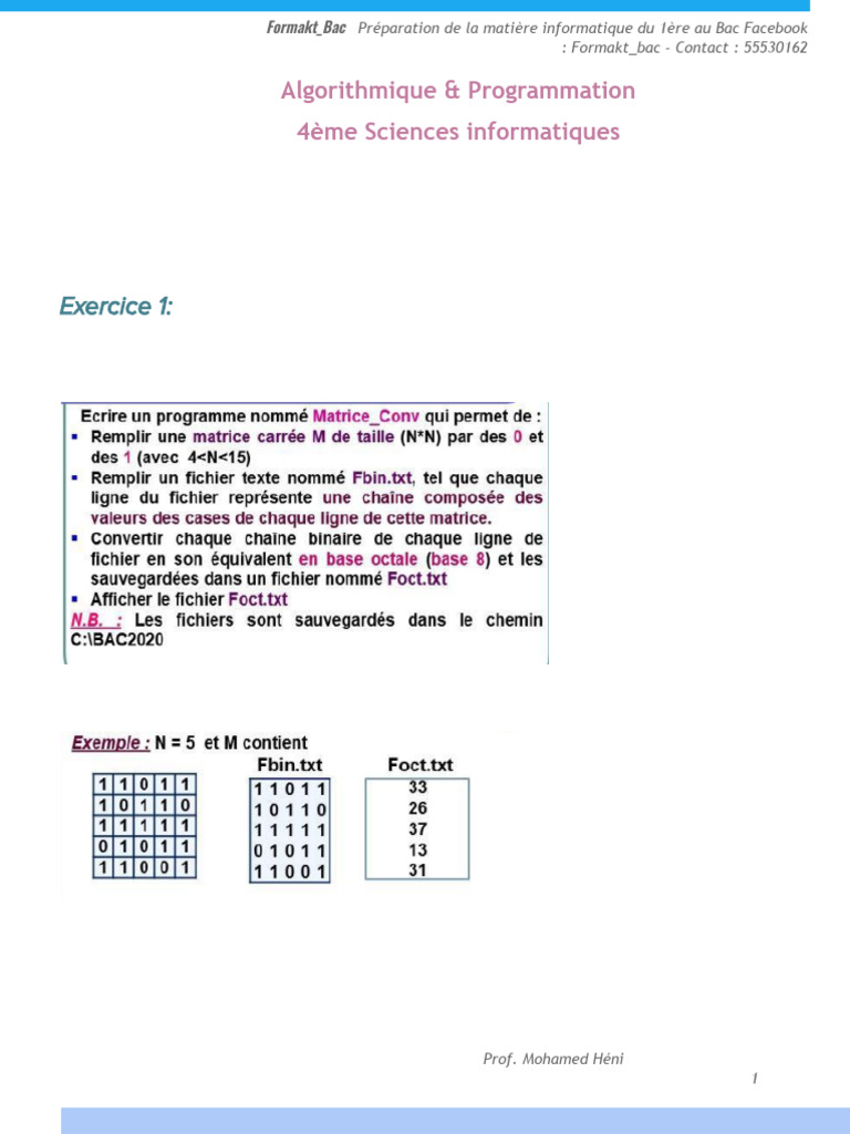 Préparation Bac Informatique 1ère | PDF