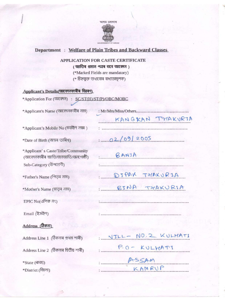 Image | PDF