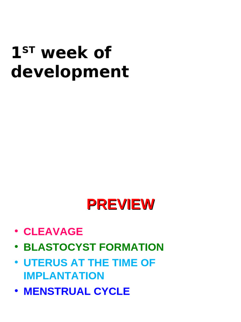 Early Embryonic Development Overview | PDF | Uterus | Biological Processes