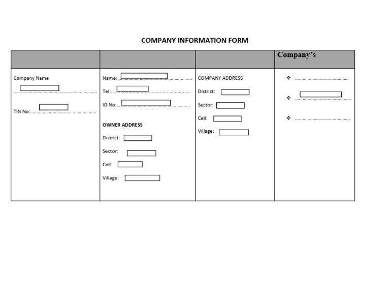 Company Information Form Template | PDF